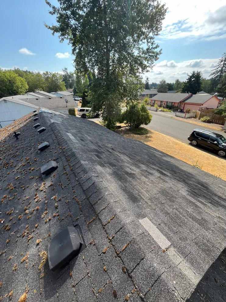 Tacoma, WA Roofing Project by Nova Remodeling Inc - Photo 5