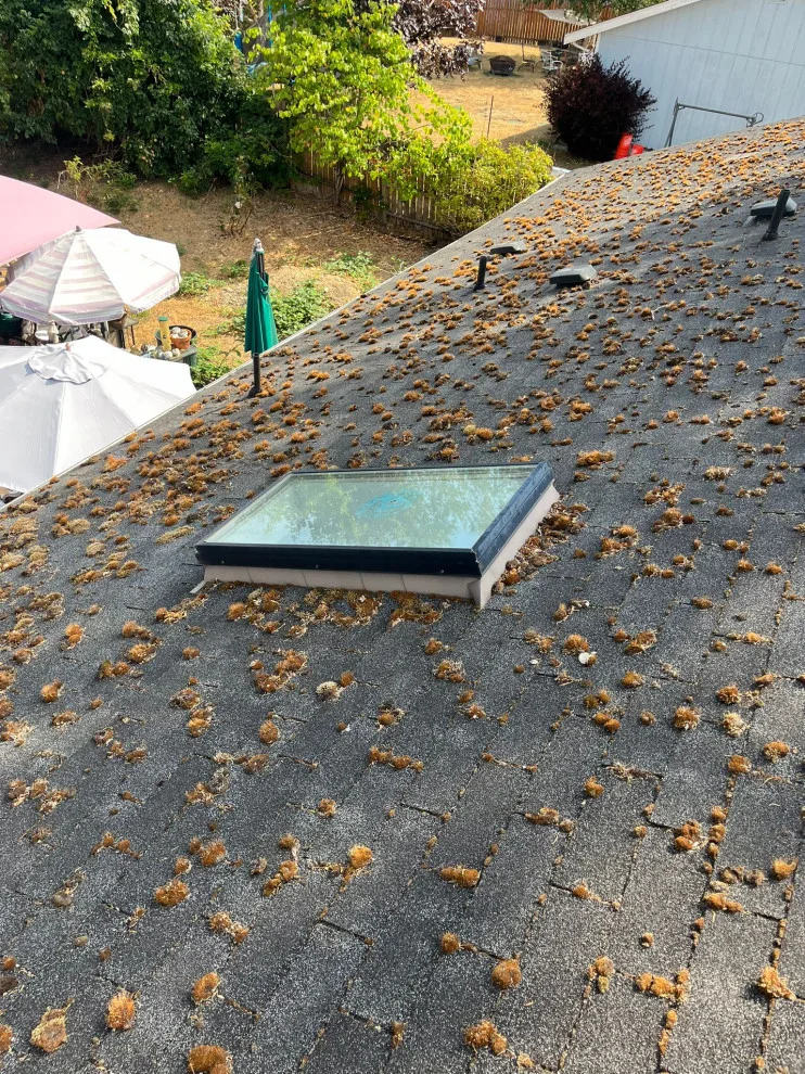 Tacoma, WA Roofing Project by Nova Remodeling Inc - Photo 3