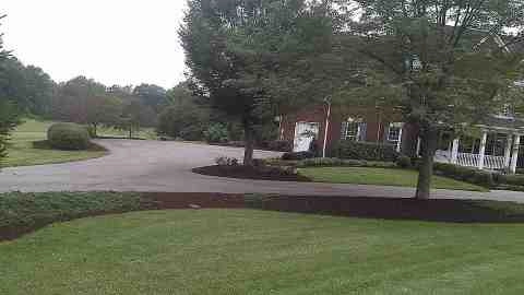 Alberto Alavez Professional Lawn Services LLC 4 by Alberto Alavez Professional Lawn Services LLC - Photo 31