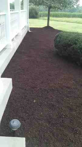 Alberto Alavez Professional Lawn Services LLC 4 by Alberto Alavez Professional Lawn Services LLC - Photo 22