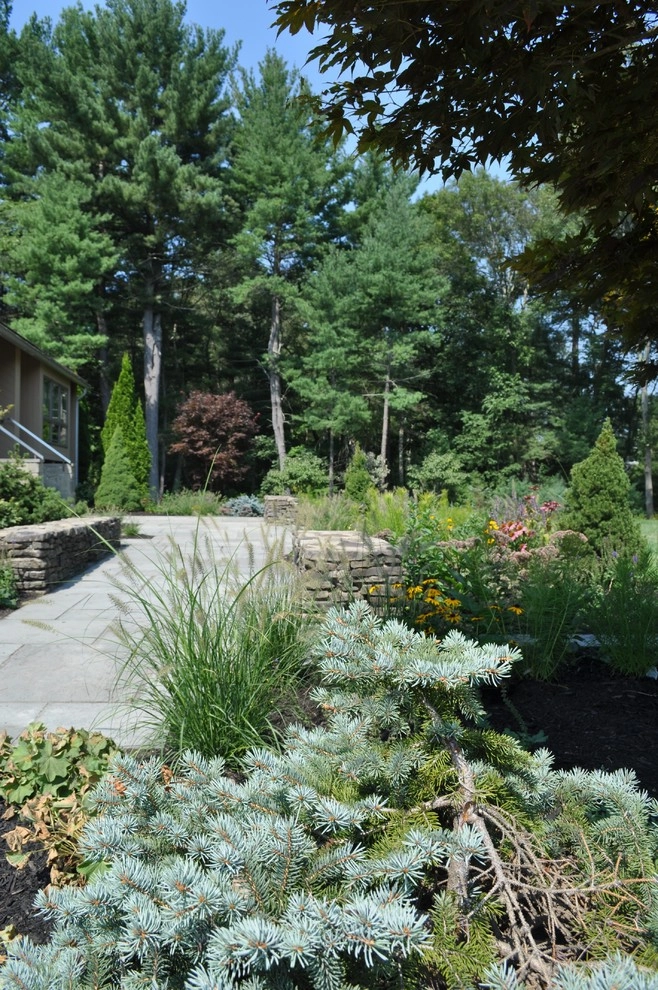 Peabody Residence Landscape by Inge Daniels Design LLC - Photo 8