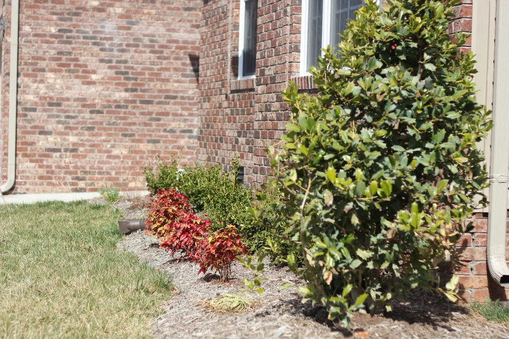 Meadows at Bentley 56 by BRM Homes LLC. - Photo 26