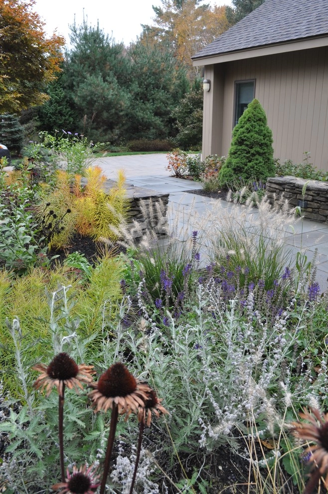 Peabody Residence Landscape by Inge Daniels Design LLC - Photo 6