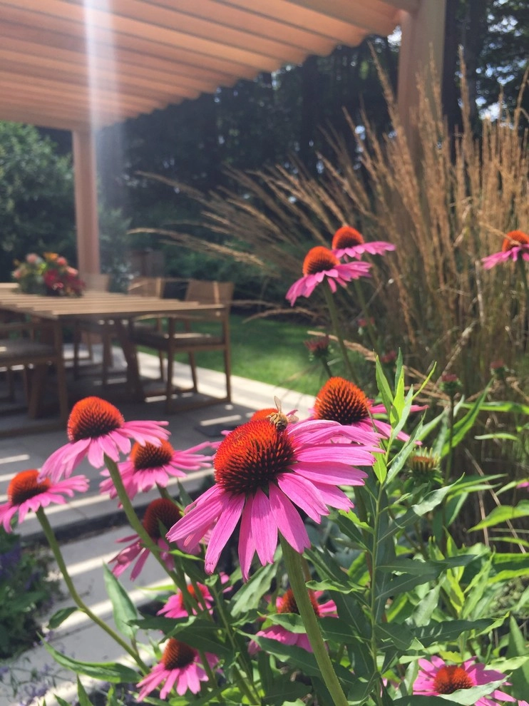 Peabody Residence Landscape by Inge Daniels Design LLC - Photo 14