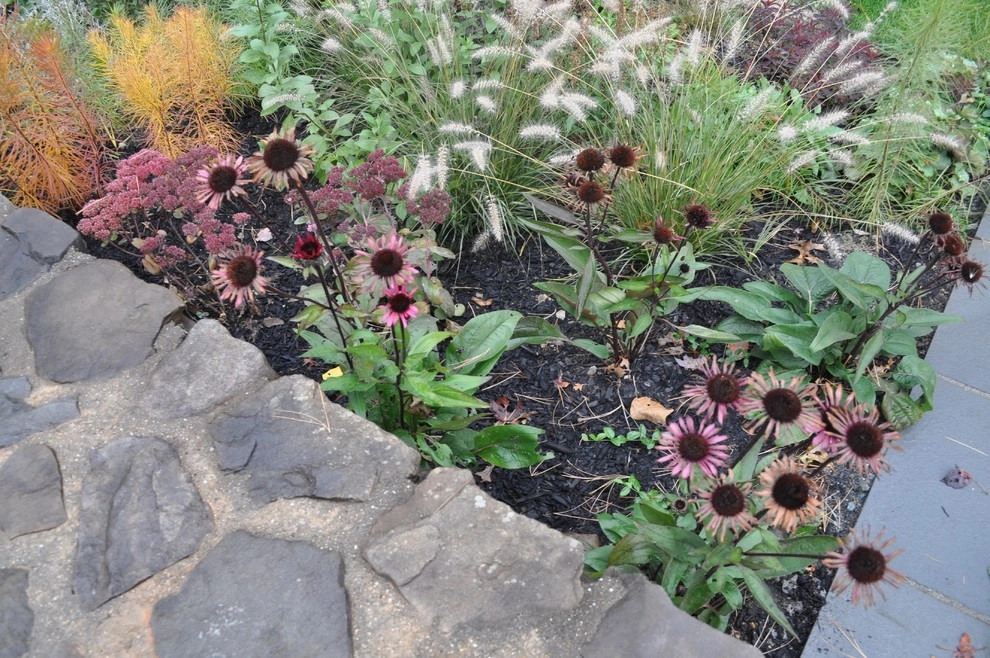 Peabody Residence Landscape by Inge Daniels Design LLC - Photo 15
