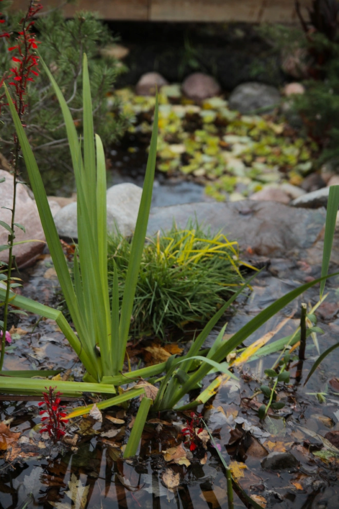 Another Residential Home by InSite Landscape Design - Photo 10