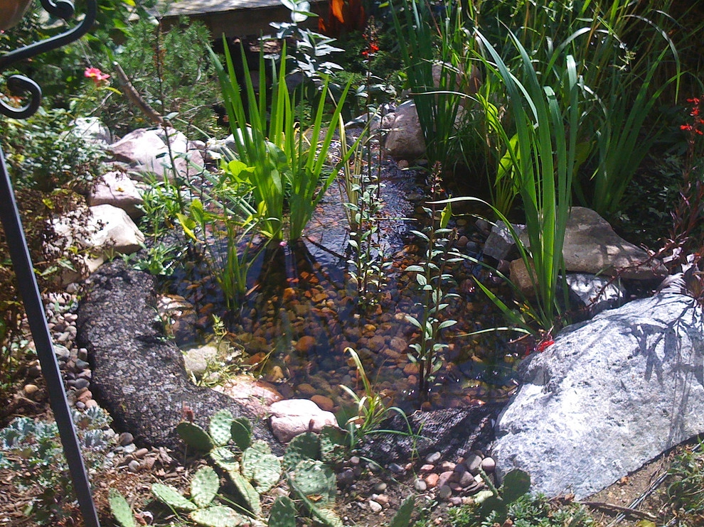 Another Residential Home by InSite Landscape Design - Photo 11