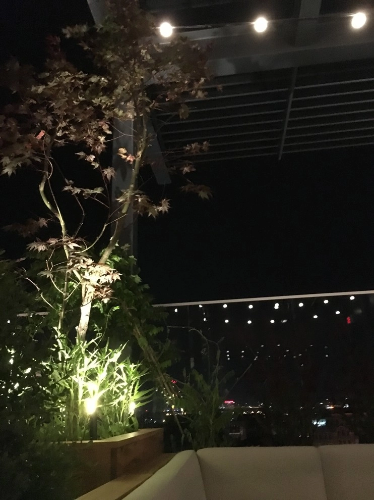 The Outsider by InSite Landscape Design - Photo 9