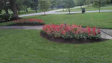 Alberto Alavez Professional Lawn Services LLC 4 by Alberto Alavez Professional Lawn Services LLC - Photo 185
