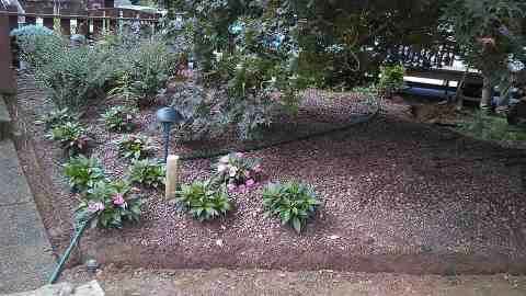 Alberto Alavez Professional Lawn Services LLC 4 by Alberto Alavez Professional Lawn Services LLC - Photo 99