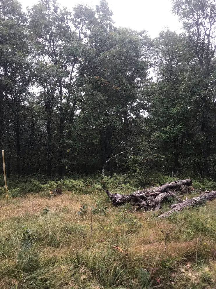 Large Toy Storage for Adults by Forefront Garages And More, Inc. - Photo 3