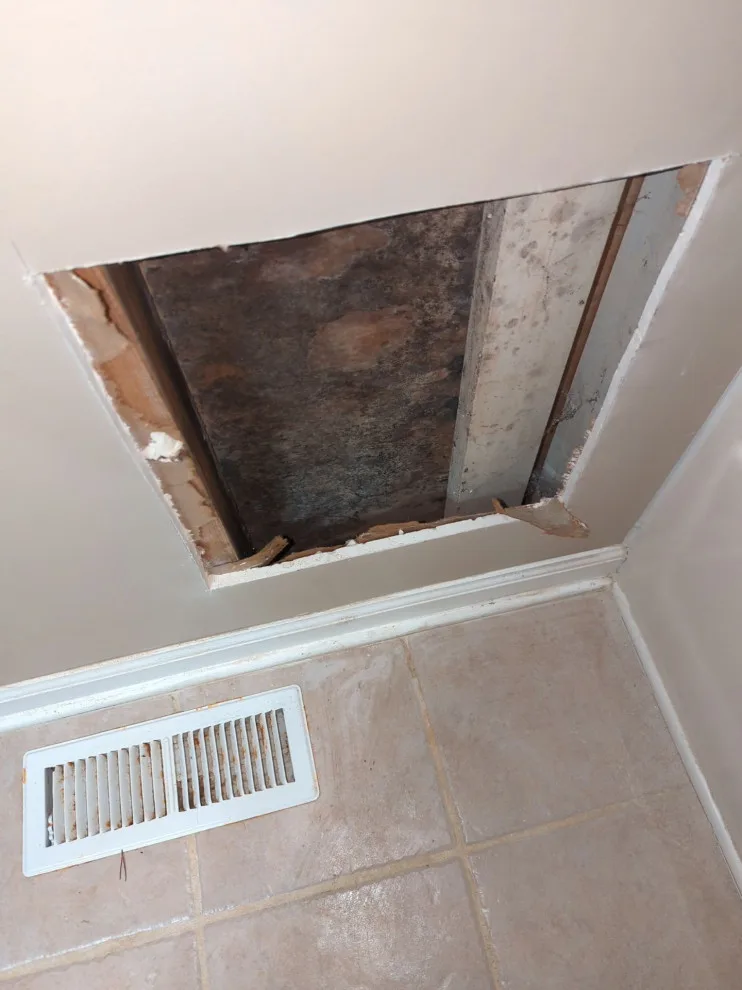 Bishops Bridge Mold Removal by MEL Realty Repairs LLC - Photo 7