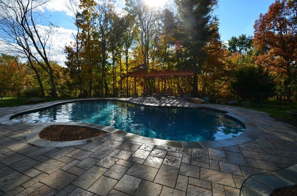 Fall In The Foothills by Iris Design Associates - Photo 44
