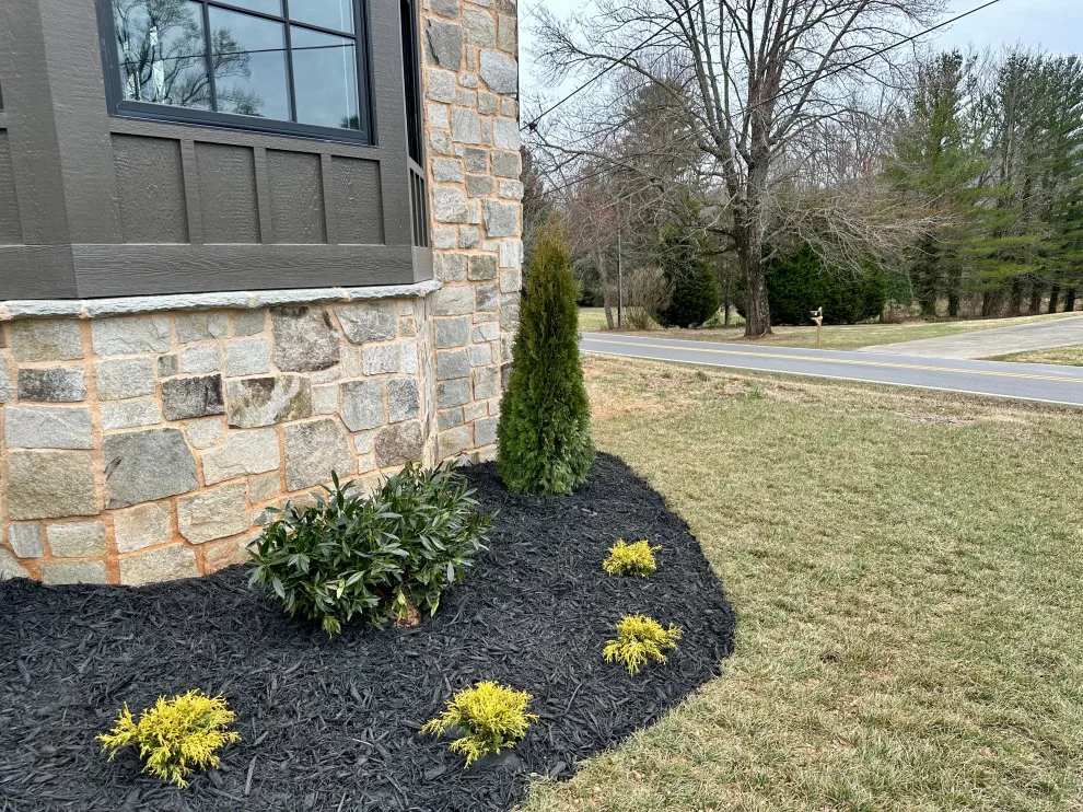 Custom Tudor Home on Black Mountain by Patrick Michael Custom Builders - Photo 17
