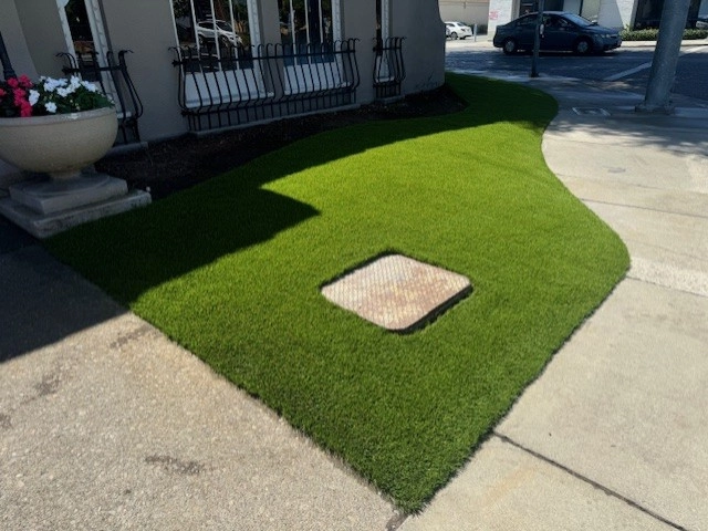 Art Of Turf Inc - Photo 8