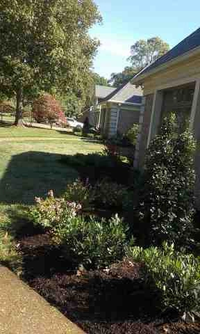 Alberto Alavez Professional Lawn Services LLC 4 by Alberto Alavez Professional Lawn Services LLC - Photo 72
