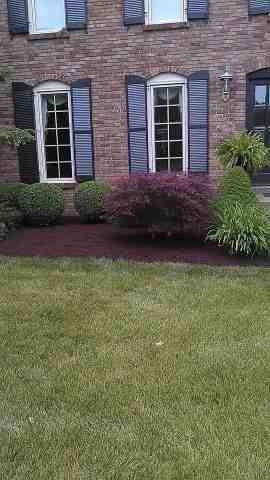 Alberto Alavez Professional Lawn Services LLC - Photo 14