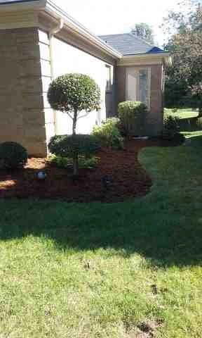 Alberto Alavez Professional Lawn Services LLC 4 by Alberto Alavez Professional Lawn Services LLC - Photo 83