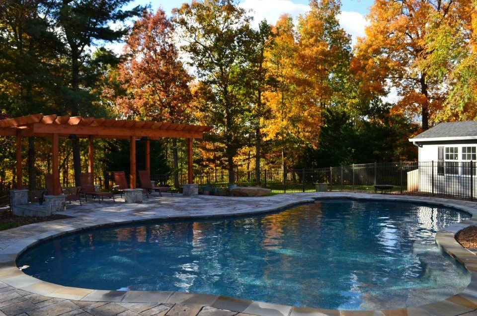 Fall In The Foothills by Iris Design Associates - Photo 23