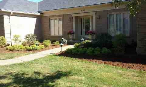Alberto Alavez Professional Lawn Services LLC 4 by Alberto Alavez Professional Lawn Services LLC - Photo 103
