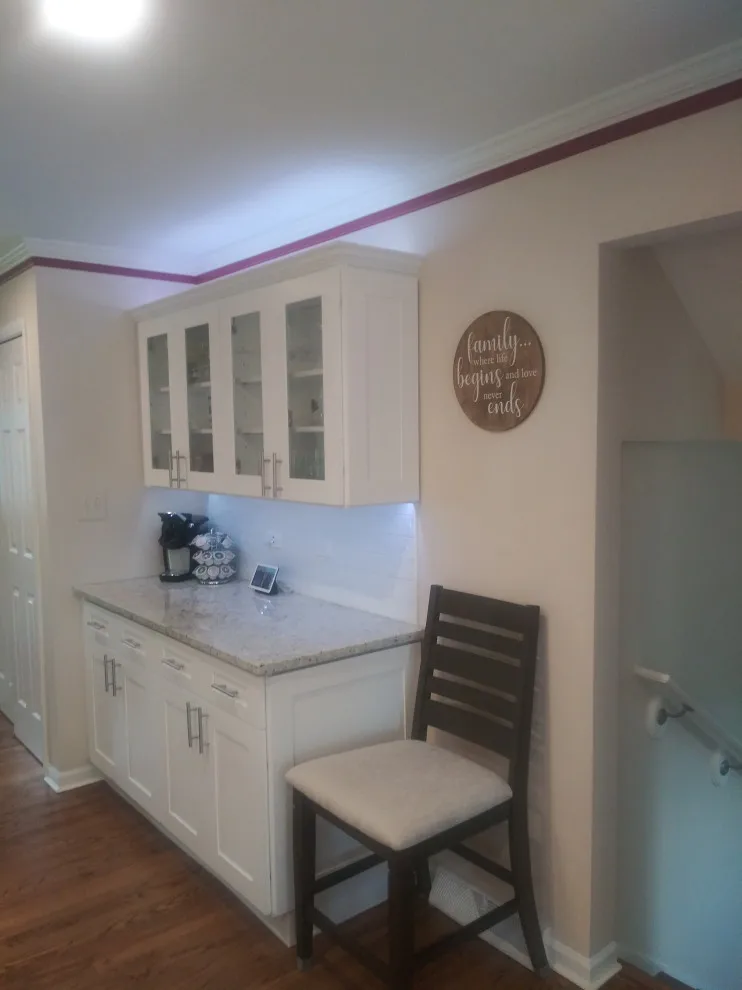 Carol Stream Culinary Space by Premier Kitchen & Bath Remodeling - Photo 4