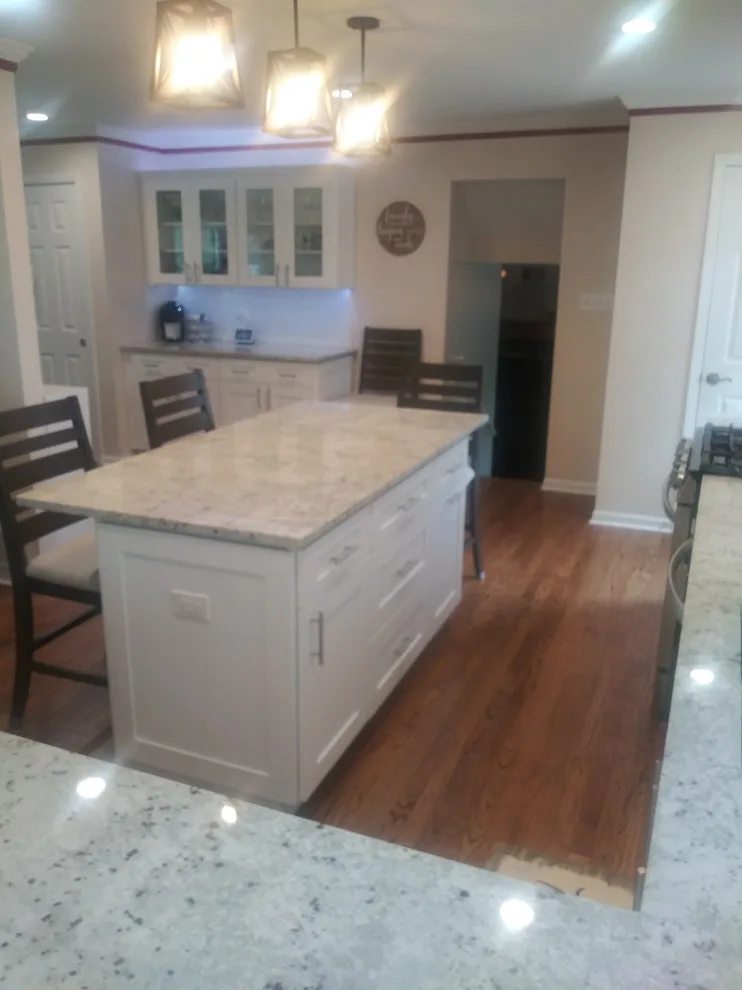 Carol Stream Culinary Space by Premier Kitchen & Bath Remodeling - Photo 13
