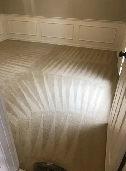 Rug Cleaning Initiatives by America's Best Carpet And Tile - Photo 5