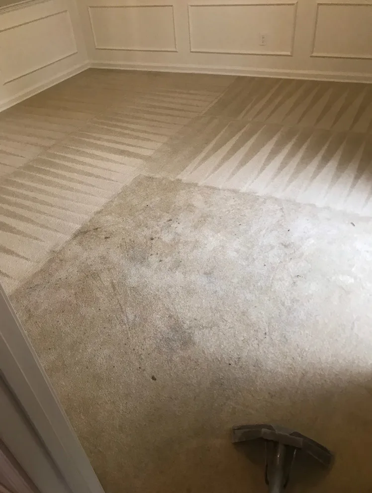 Rug Cleaning Initiatives by America's Best Carpet And Tile - Photo 7