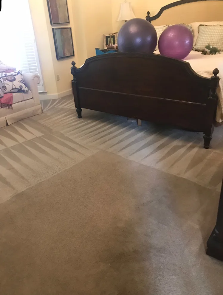 Rug Cleaning Initiatives by America's Best Carpet And Tile - Photo 6
