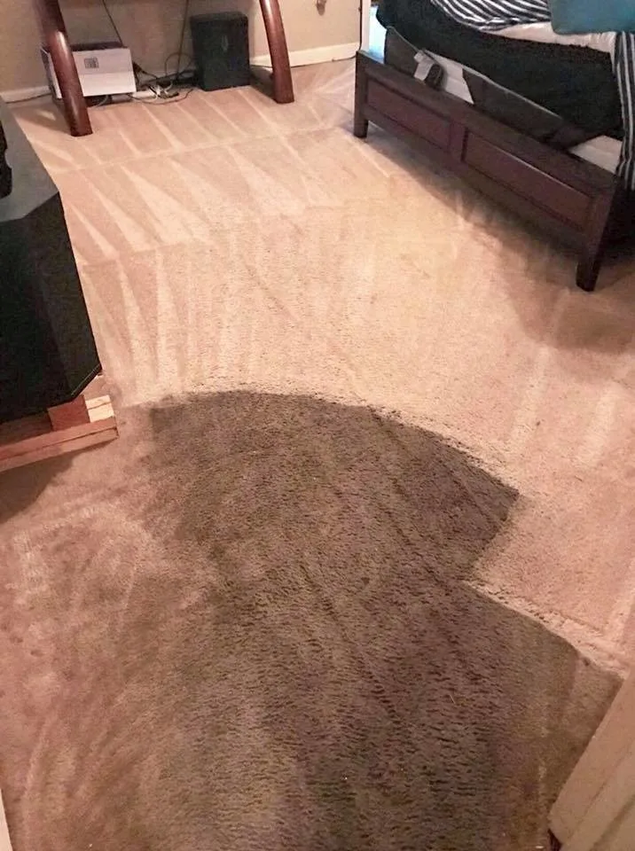 Rug Cleaning Initiatives by America's Best Carpet And Tile - Photo 3