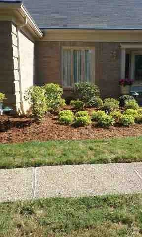 Alberto Alavez Professional Lawn Services LLC 4 by Alberto Alavez Professional Lawn Services LLC - Photo 133