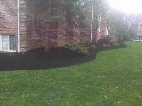 Alberto Alavez Professional Lawn Services LLC 4 by Alberto Alavez Professional Lawn Services LLC - Photo 89