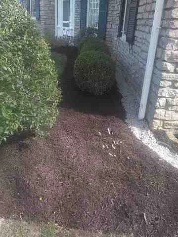Alberto Alavez Professional Lawn Services LLC 4 by Alberto Alavez Professional Lawn Services LLC - Photo 113