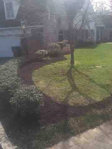 Alberto Alavez Professional Lawn Services LLC 4 by Alberto Alavez Professional Lawn Services LLC - Photo 47