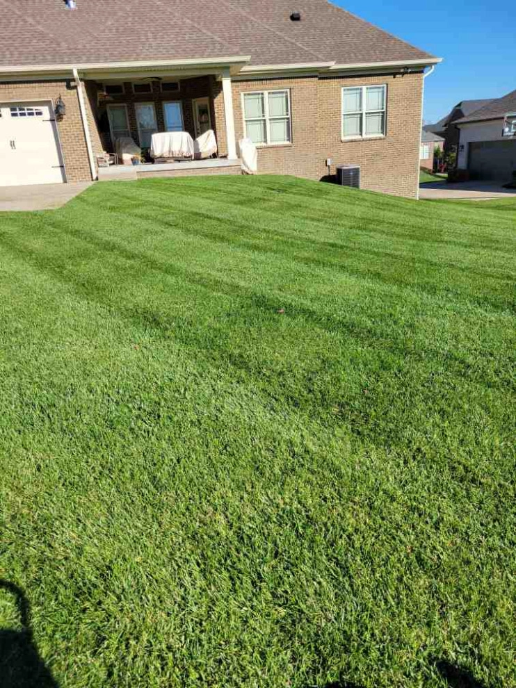 Alberto Alavez Professional Lawn Services LLC 7 by Alberto Alavez Professional Lawn Services LLC - Photo 22