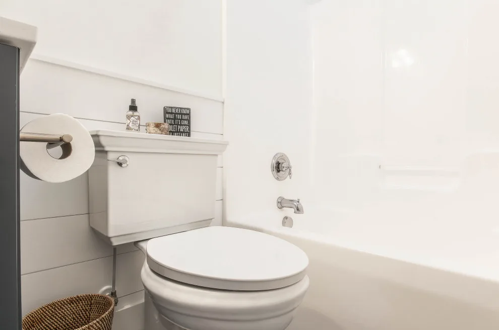 Chapin Bathroom Renovations 2024 by Capital Kitchen & Bath - Photo 26