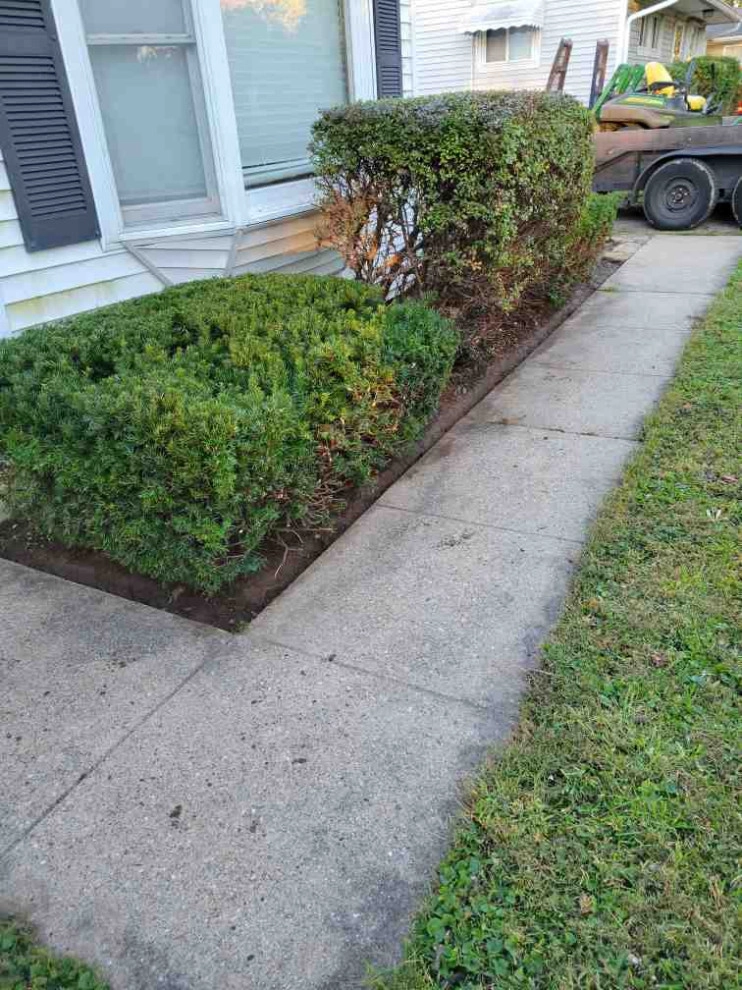 Alberto Alavez Professional Lawn Services LLC 7 by Alberto Alavez Professional Lawn Services LLC - Photo 7