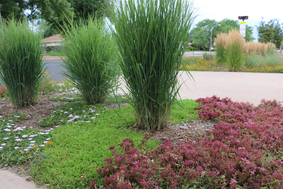 The Praire Garden by J. Gieo Pensoneault, MLA - Photo 4