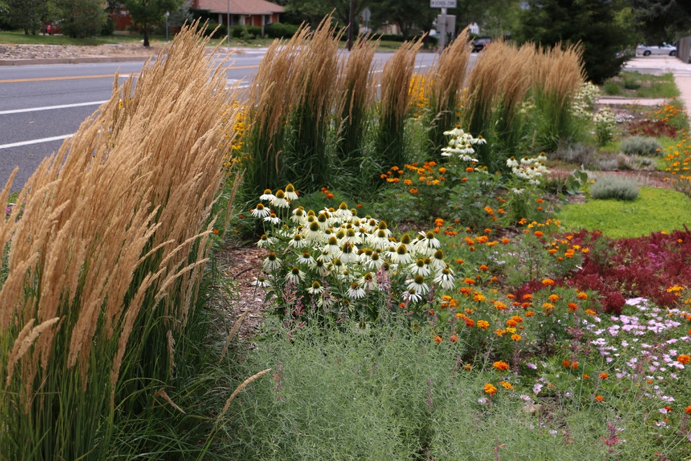 The Praire Garden by J. Gieo Pensoneault, MLA - Photo 6