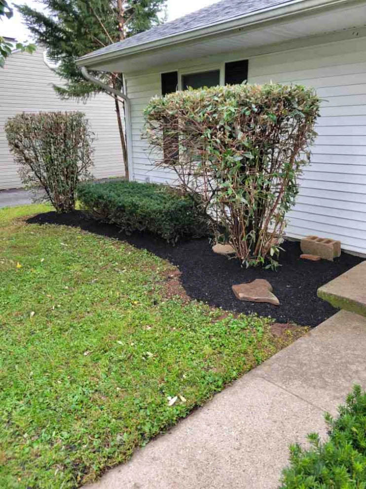 Alberto Alavez Professional Lawn Services LLC 7 by Alberto Alavez Professional Lawn Services LLC - Photo 26