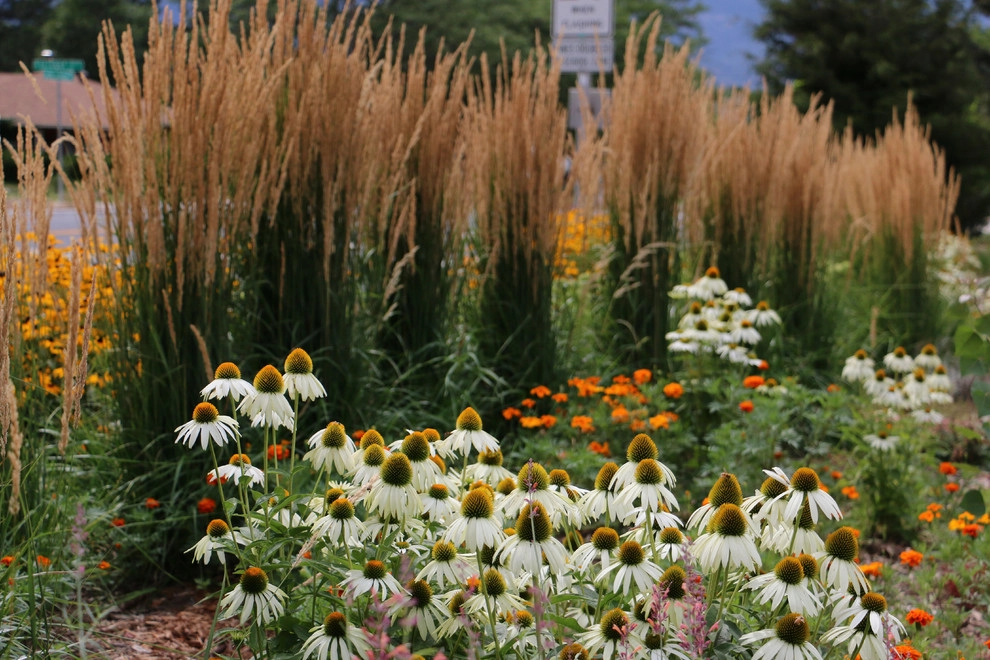 The Praire Garden by J. Gieo Pensoneault, MLA - Photo 10