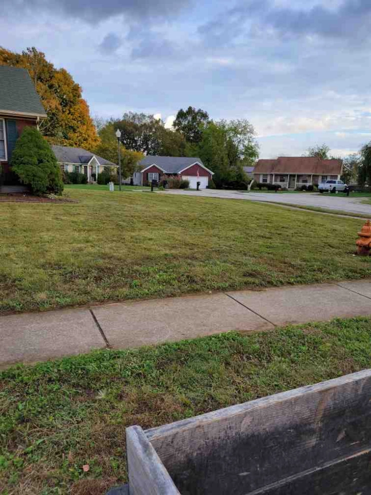 Alberto Alavez Professional Lawn Services LLC 7 by Alberto Alavez Professional Lawn Services LLC - Photo 23