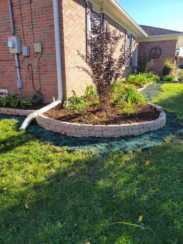 Alberto Alavez Professional Lawn Services LLC 7 by Alberto Alavez Professional Lawn Services LLC - Photo 28