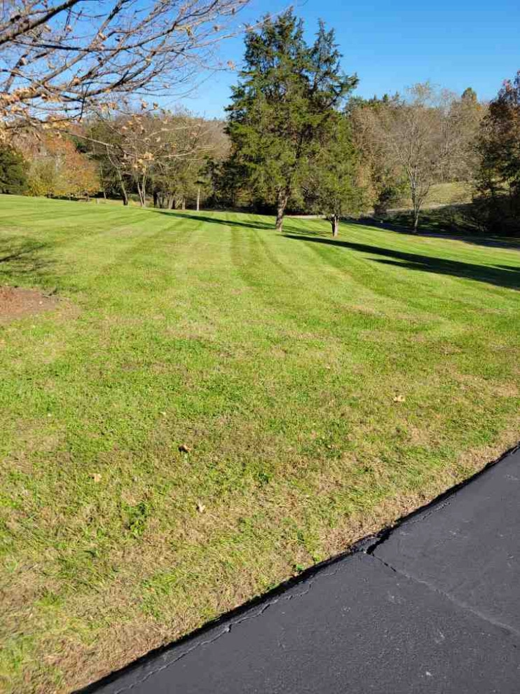 Alberto Alavez Professional Lawn Services LLC 7 by Alberto Alavez Professional Lawn Services LLC - Photo 18