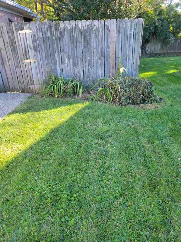 Alberto Alavez Professional Lawn Services LLC 7 by Alberto Alavez Professional Lawn Services LLC - Photo 16