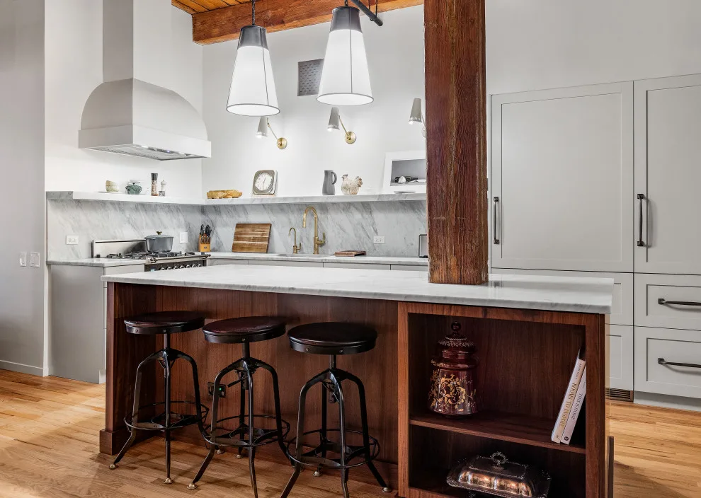Chicago Apartment Renovation by Airoom Architects-Builders-Remodelers - Photo 9