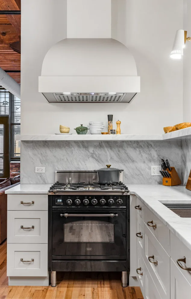 Chicago Apartment Renovation by Airoom Architects-Builders-Remodelers - Photo 5