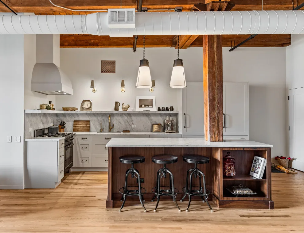 Chicago Apartment Renovation by Airoom Architects-Builders-Remodelers - Photo 14
