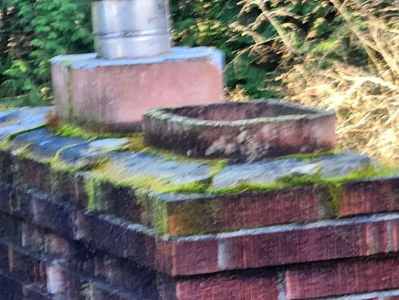 Chimney Restoration by Handyman Rescue Team - Photo 6