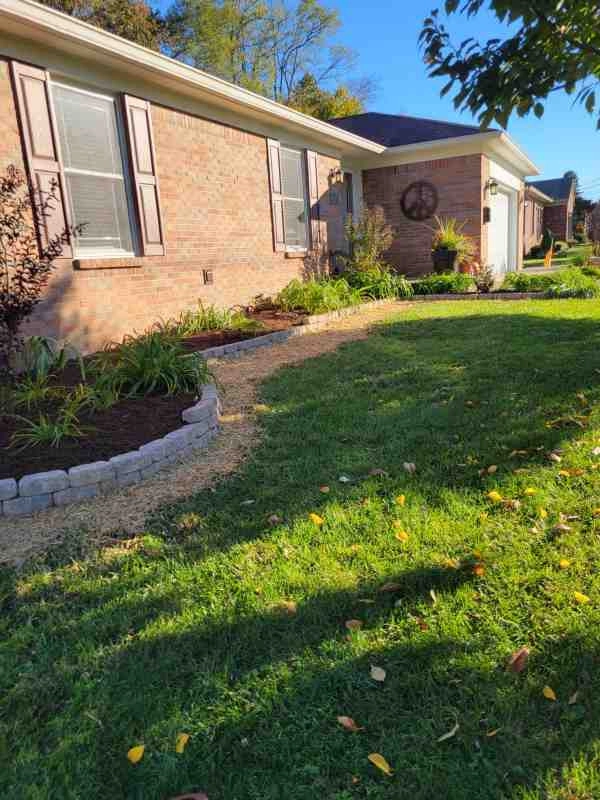 Alberto Alavez Professional Lawn Services LLC 7 by Alberto Alavez Professional Lawn Services LLC - Photo 4